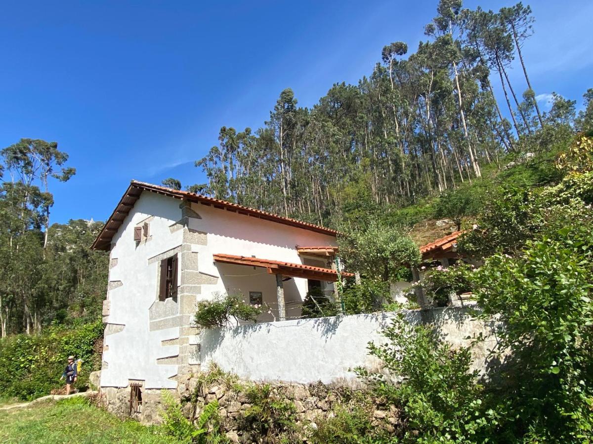 Villa Casa Da Azenha Branca Castelo Do Neiva Exterior foto