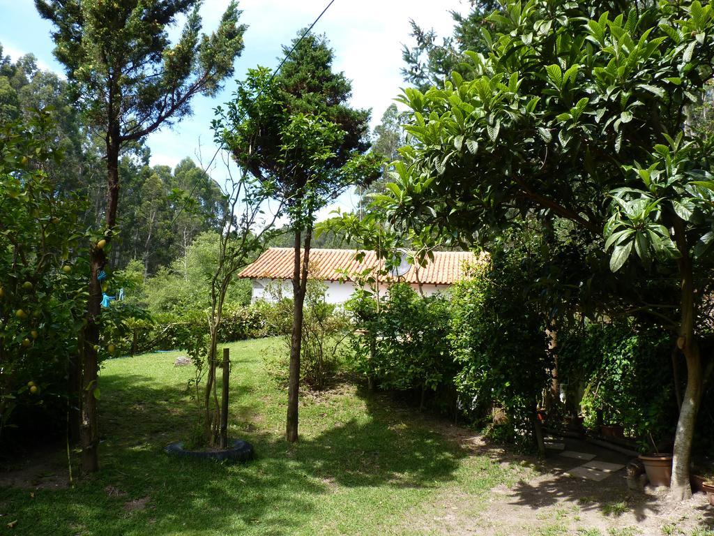 Villa Casa Da Azenha Branca Castelo Do Neiva Exterior foto